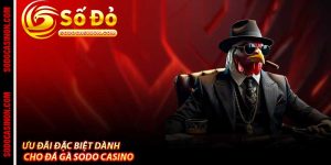 Sodo Casino - Trang Chủ Cá Cược Xanh Chín Uy Tín Của 2026
