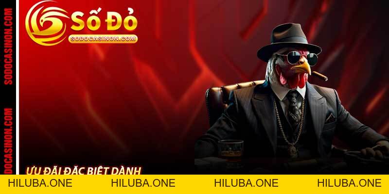 BLOG - sodocasino