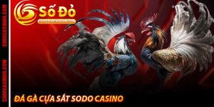 Sodo Casino - Trang Chủ Cá Cược Xanh Chín Uy Tín Của 2026