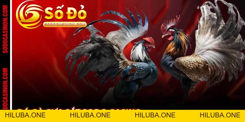 BLOG - sodocasino