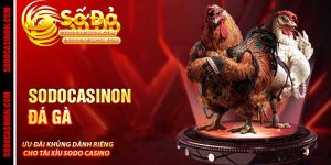 Sodo Casino - Trang Chủ Cá Cược Xanh Chín Uy Tín Của 2026