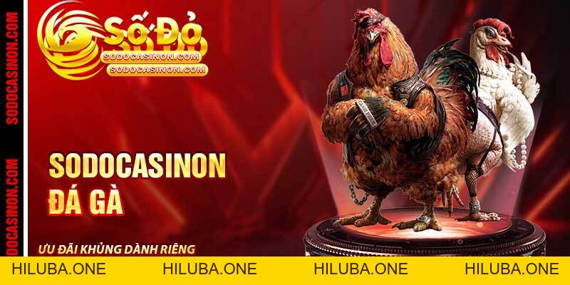 BLOG - sodocasino