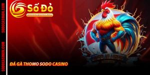 Sodo Casino - Trang Chủ Cá Cược Xanh Chín Uy Tín Của 2026