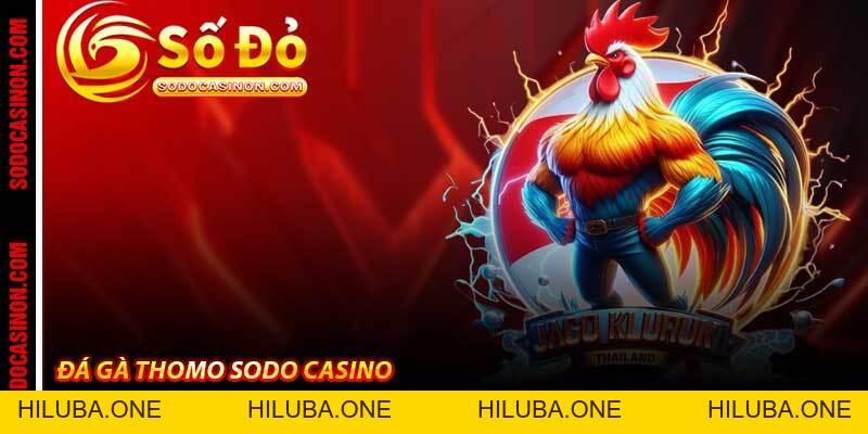 BLOG - sodocasino