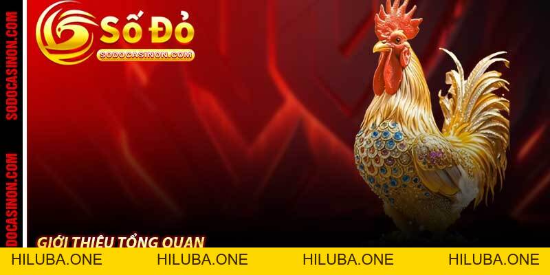 Đá Gà Sodo Casino - Cá Cược Chọi Gà Trực Tuyến Hấp Dẫn 2026
