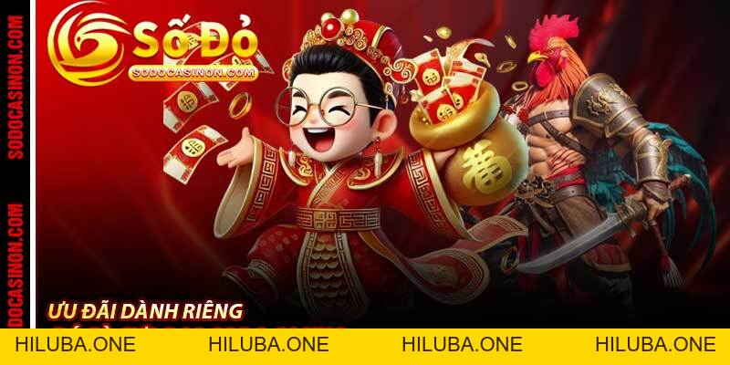 Đá Gà Cựa Dao Sodo Casino - Chọi Gà Quyết Liệt Nhất 2026