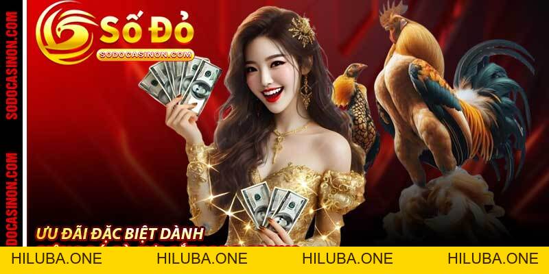 Đá Gà Cựa Sắt Sodo Casino - Trận Chọi Gà Gay Cấn Nhất 2026