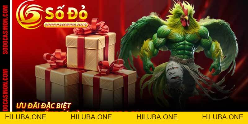 Đá Gà Thomo Sodo Casino - Trường Gà Campuchia Đỉnh Cao 2026