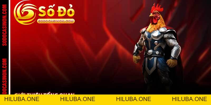 Đá Gà Peru Sodo Casino - Chọi Gà Nam Mỹ Kịch Tính 2026