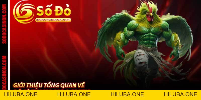 Đá Gà Thomo Sodo Casino - Trường Gà Campuchia Đỉnh Cao 2026